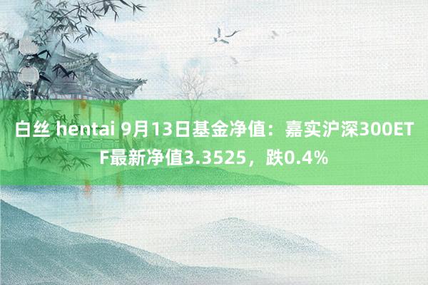 白丝 hentai 9月13日基金净值：嘉实沪深300ETF最新净值3.3525，跌0.4%