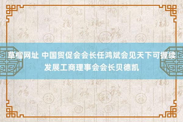草榴网址 中国贸促会会长任鸿斌会见天下可握续发展工商理事会会长贝德凯
