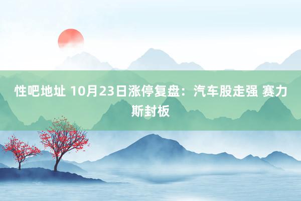 性吧地址 10月23日涨停复盘：汽车股走强 赛力斯封板