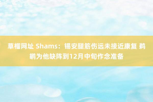 草榴网址 Shams：锡安腿筋伤远未接近康复 鹈鹕为他缺阵到12月中旬作念准备