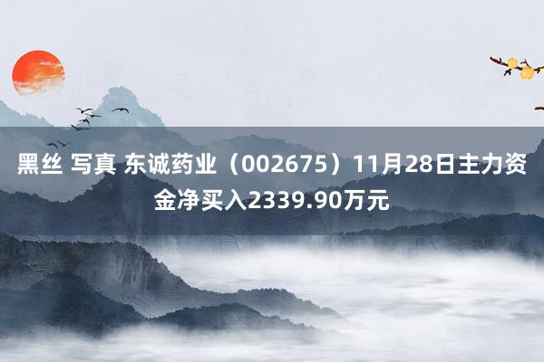 黑丝 写真 东诚药业（002675）11月28日主力资金净买入2339.90万元
