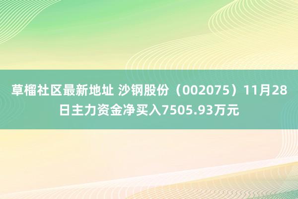 草榴社区最新地址 沙钢股份（002075）11月28日主力资金净买入7505.93万元
