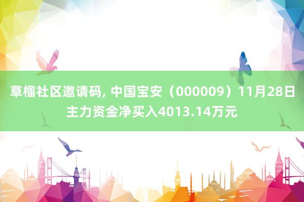 草榴社区邀请码， 中国宝安（000009）11月28日主力资金净买入4013.14万元