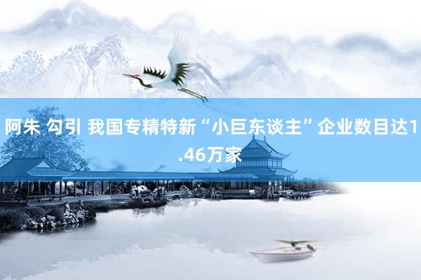 阿朱 勾引 我国专精特新“小巨东谈主”企业数目达1.46万家