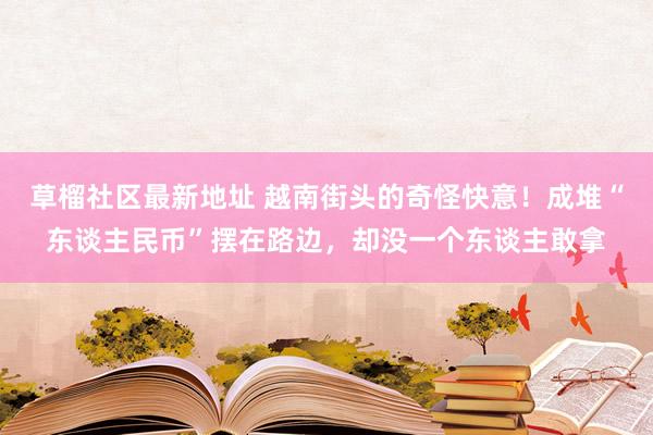 草榴社区最新地址 越南街头的奇怪快意！成堆“东谈主民币”摆在路边，却没一个东谈主敢拿
