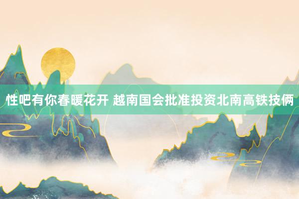 性吧有你春暖花开 越南国会批准投资北南高铁技俩