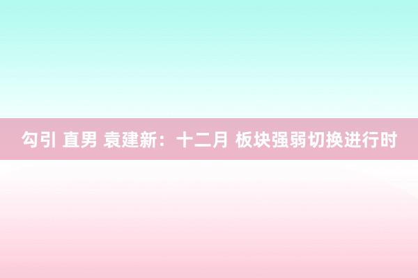 勾引 直男 袁建新:十二月 板块强弱切换进行时