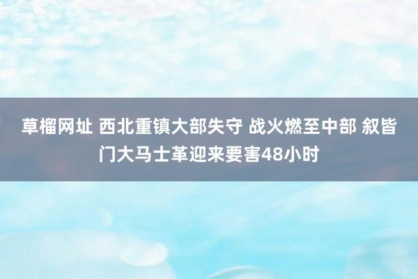 草榴网址 西北重镇大部失守 战火燃至中部 叙皆门大马士革迎来要害48小时