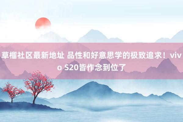 草榴社区最新地址 品性和好意思学的极致追求！vivo S20皆作念到位了