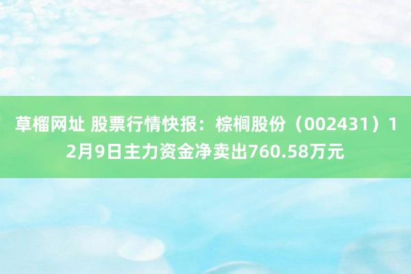 草榴网址 股票行情快报：棕榈股份（002431）12月9日主力资金净卖出760.58万元