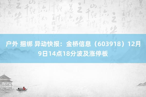 户外 捆绑 异动快报：金桥信息（603918）12月9日14点18分波及涨停板