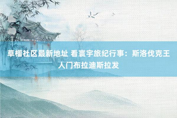 草榴社区最新地址 看寰宇旅纪行事：斯洛伐克王人门布拉迪斯拉发