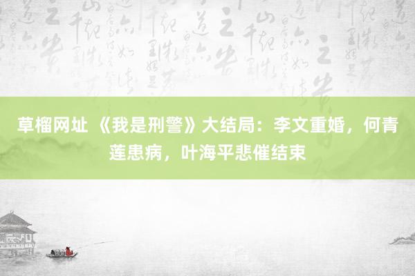 草榴网址 《我是刑警》大结局：李文重婚，何青莲患病，叶海平悲催结束