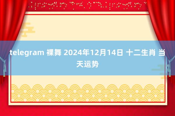 telegram 裸舞 2024年12月14日 十二生肖 当天运势