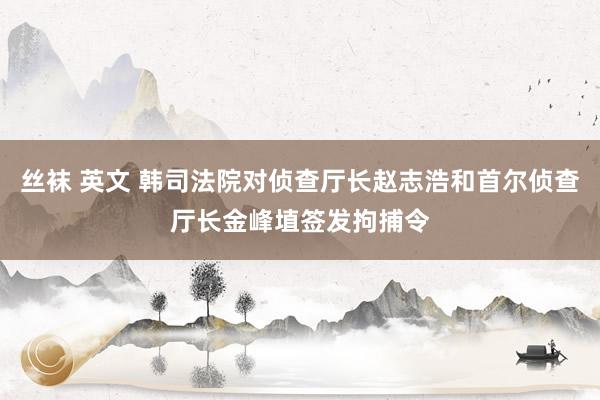 丝袜 英文 韩司法院对侦查厅长赵志浩和首尔侦查厅长金峰埴签发拘捕令