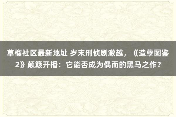 草榴社区最新地址 岁末刑侦剧激越，《造孽图鉴2》颠簸开播：它能否成为偶而的黑马之作？