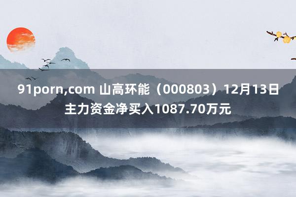 91porn，com 山高环能（000803）12月13日主力资金净买入1087.70万元