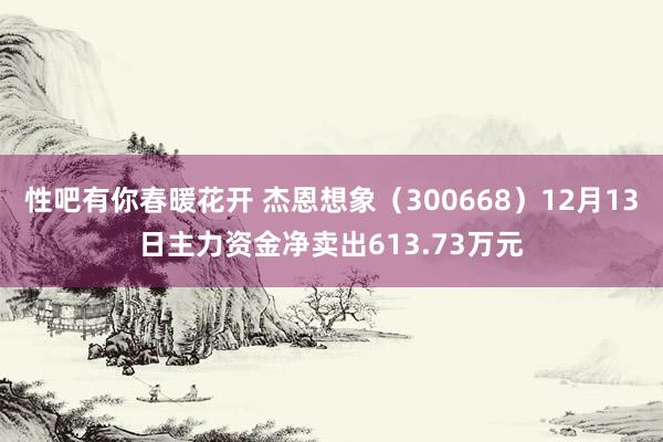 性吧有你春暖花开 杰恩想象（300668）12月13日主力资金净卖出613.73万元