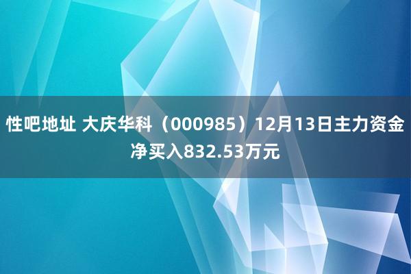 性吧地址 大庆华科（000985）12月13日主力资金净买入832.53万元