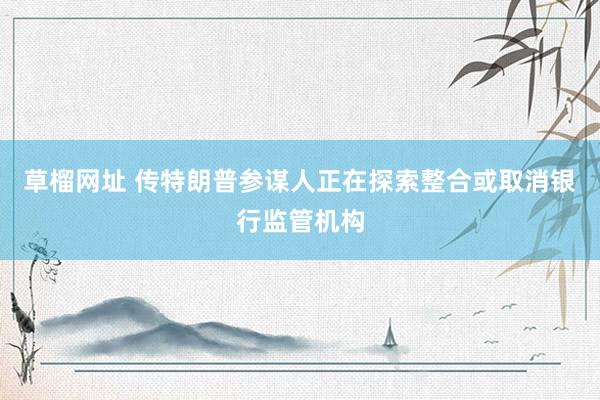 草榴网址 传特朗普参谋人正在探索整合或取消银行监管机构