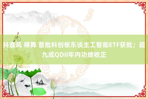 抖音风 裸舞 首批科创板东谈主工智能ETF获批；超九成QDII年内功绩收正