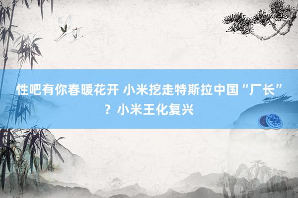 性吧有你春暖花开 小米挖走特斯拉中国“厂长”？小米王化复兴