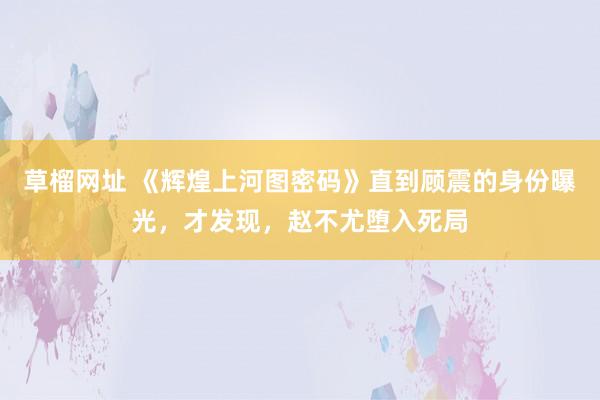 草榴网址 《辉煌上河图密码》直到顾震的身份曝光，才发现，赵不尤堕入死局
