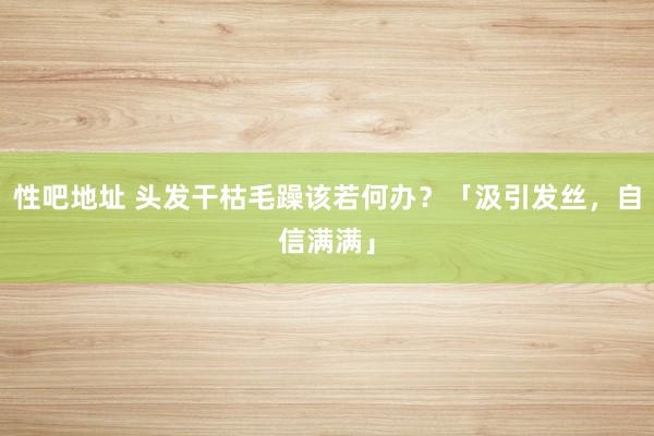 性吧地址 头发干枯毛躁该若何办？「汲引发丝，自信满满」