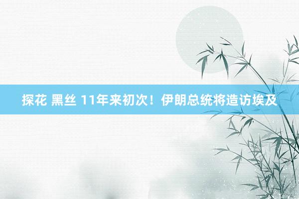 探花 黑丝 11年来初次！伊朗总统将造访埃及