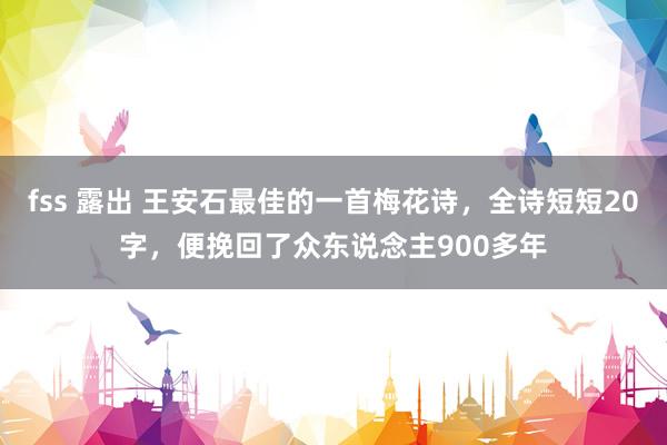 fss 露出 王安石最佳的一首梅花诗，全诗短短20字，便挽回了众东说念主900多年