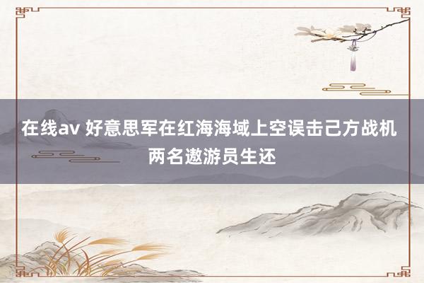 在线av 好意思军在红海海域上空误击己方战机 两名遨游员生还
