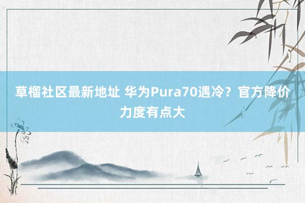 草榴社区最新地址 华为Pura70遇冷？官方降价力度有点大