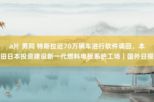 a片 男同 特斯拉近70万辆车进行软件调回，本田日本投资建设新一代燃料电板系统工场｜国外日报