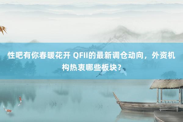 性吧有你春暖花开 QFII的最新调仓动向，外资机构热衷哪些板块？