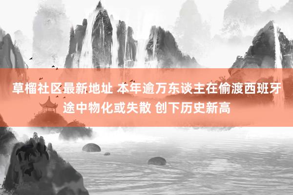草榴社区最新地址 本年逾万东谈主在偷渡西班牙途中物化或失散 创下历史新高
