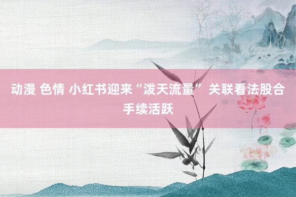 动漫 色情 小红书迎来“泼天流量” 关联看法股合手续活跃
