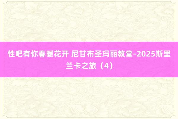性吧有你春暖花开 尼甘布圣玛丽教堂-2025斯里兰卡之旅（4）