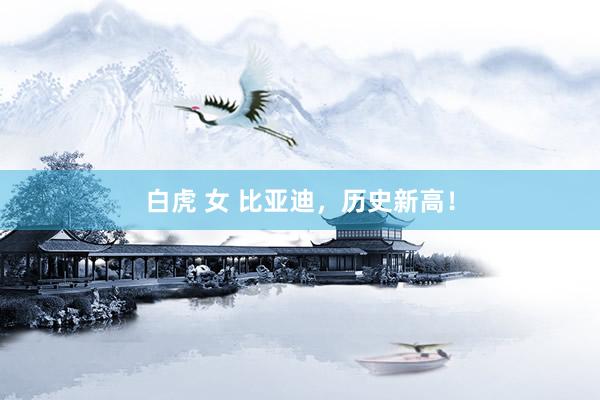 白虎 女 比亚迪，历史新高！