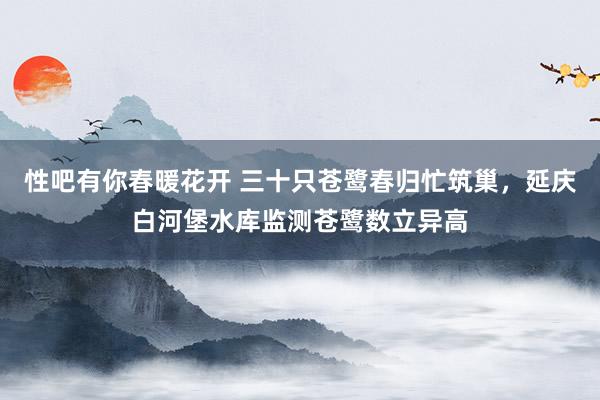 性吧有你春暖花开 三十只苍鹭春归忙筑巢，延庆白河堡水库监测苍鹭数立异高