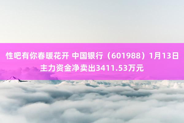 性吧有你春暖花开 中国银行（601988）1月13日主力资金净卖出3411.53万元