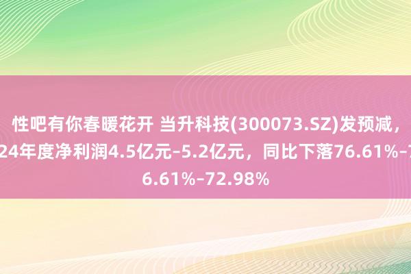 性吧有你春暖花开 当升科技(300073.SZ)发预减，瞻望2024年度净利润4.5亿元–5.2亿元，同比下落76.61%–72.98%