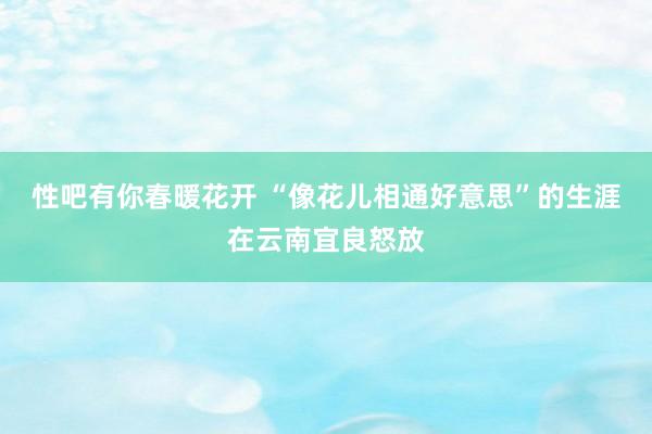 性吧有你春暖花开 “像花儿相通好意思”的生涯在云南宜良怒放