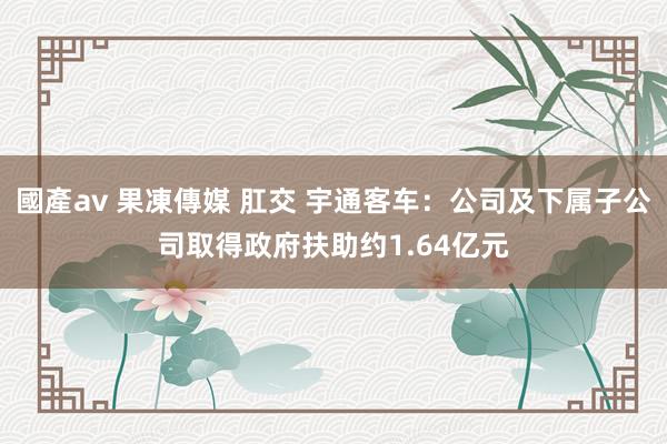 國產av 果凍傳媒 肛交 宇通客车：公司及下属子公司取得政府扶助约1.64亿元