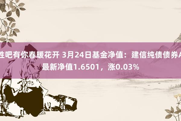性吧有你春暖花开 3月24日基金净值：建信纯债债券A最新净值1.6501，涨0.03%