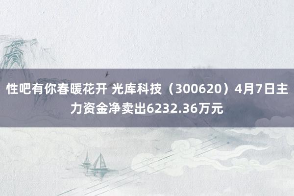 性吧有你春暖花开 光库科技（300620）4月7日主力资金净卖出6232.36万元