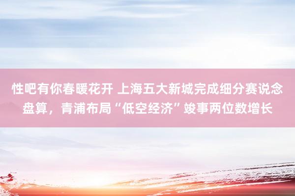 性吧有你春暖花开 上海五大新城完成细分赛说念盘算，青浦布局“低空经济”竣事两位数增长