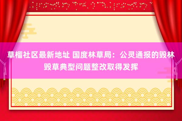 草榴社区最新地址 国度林草局：公灵通报的毁林毁草典型问题整改取得发挥